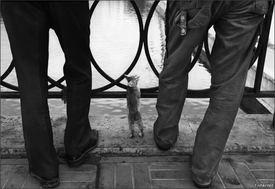 Фотограф Игорь Андреев