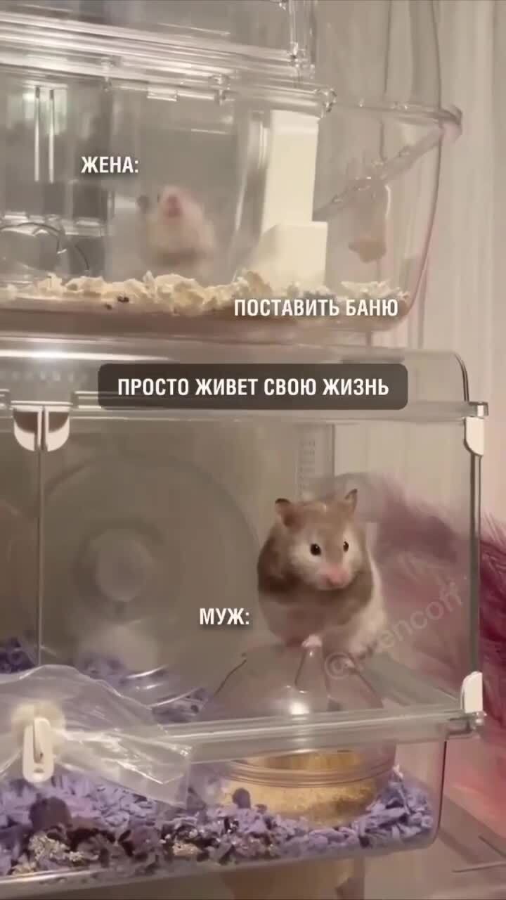 Муж и жена =)