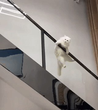 - Вжух