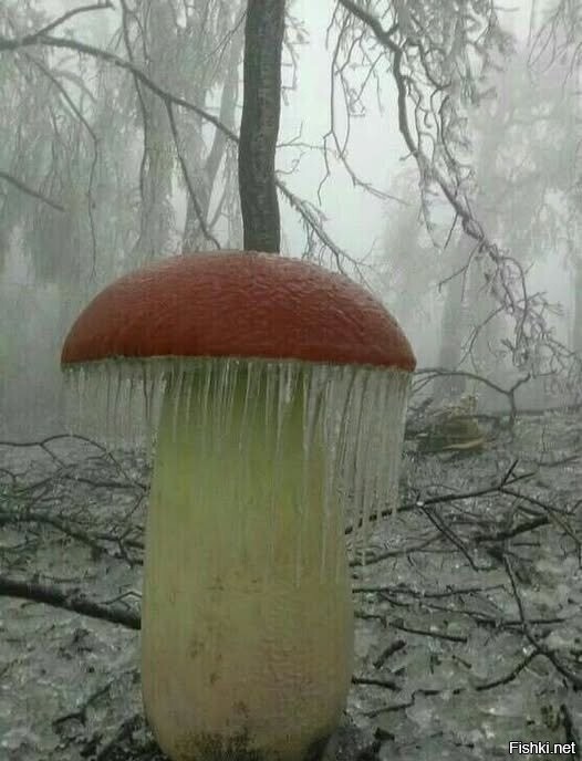 Просто январь