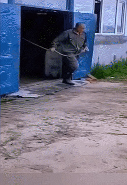 Солянка