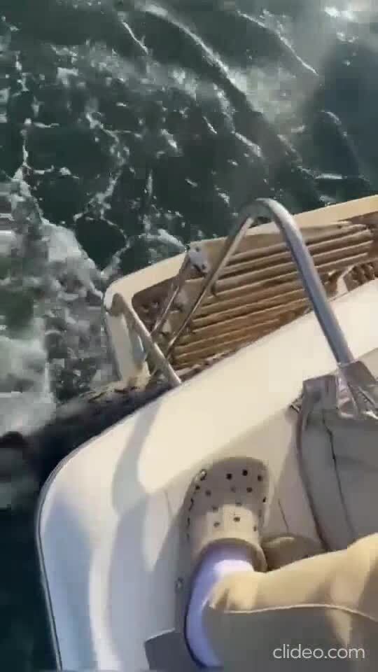 Чудом ушёл