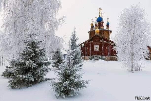 Солянка