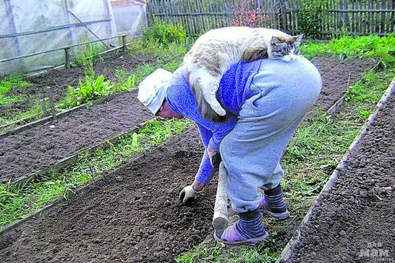 Солянка