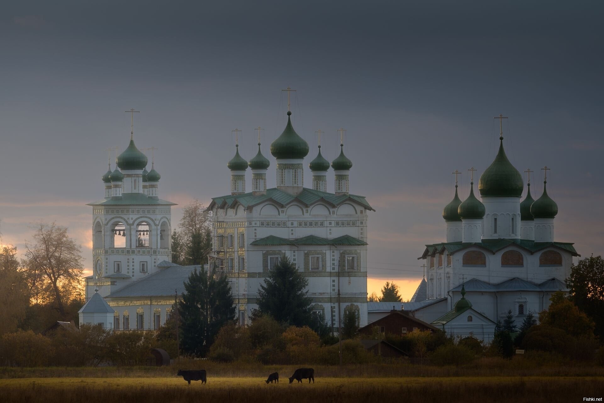 Солянка