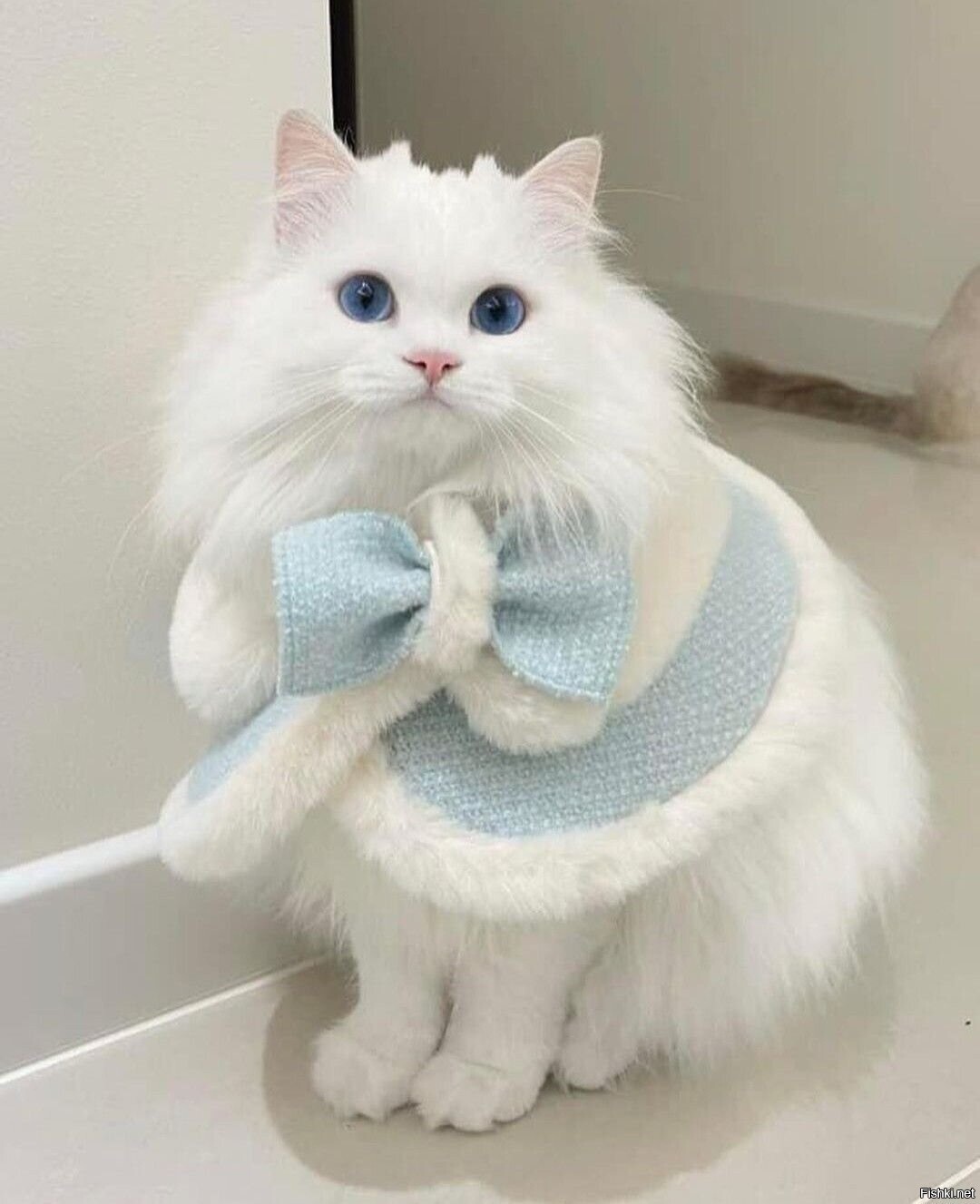 Доброе утро