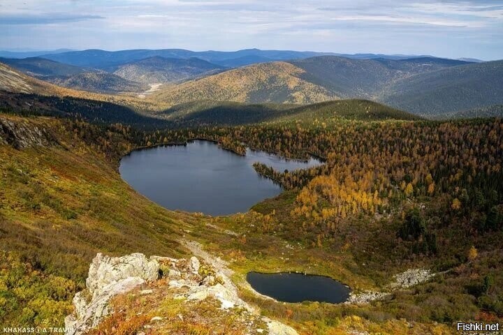 Солянка