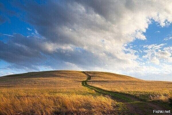 Солянка