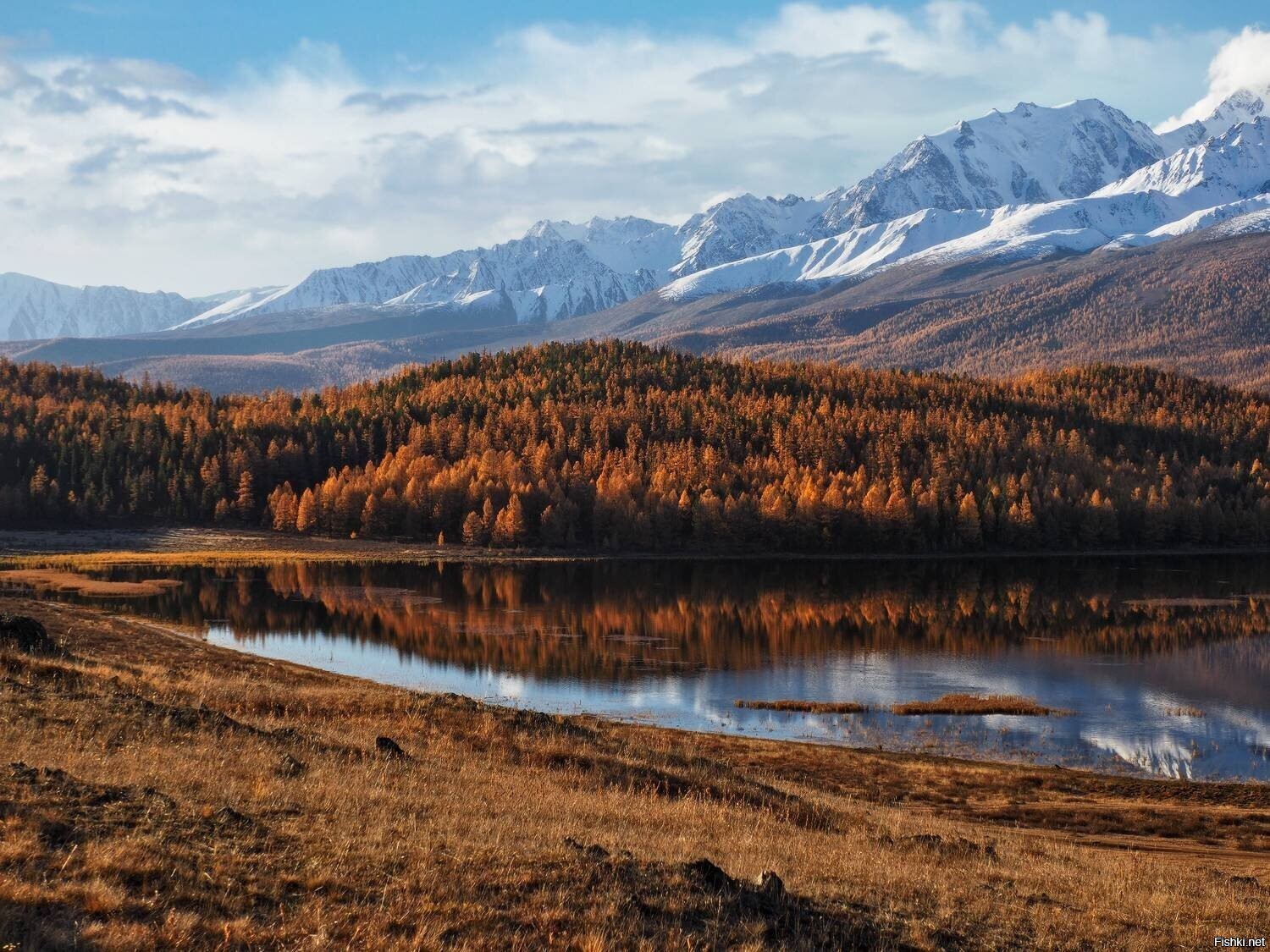 Солянка