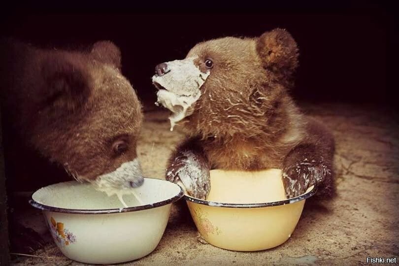 Солянка