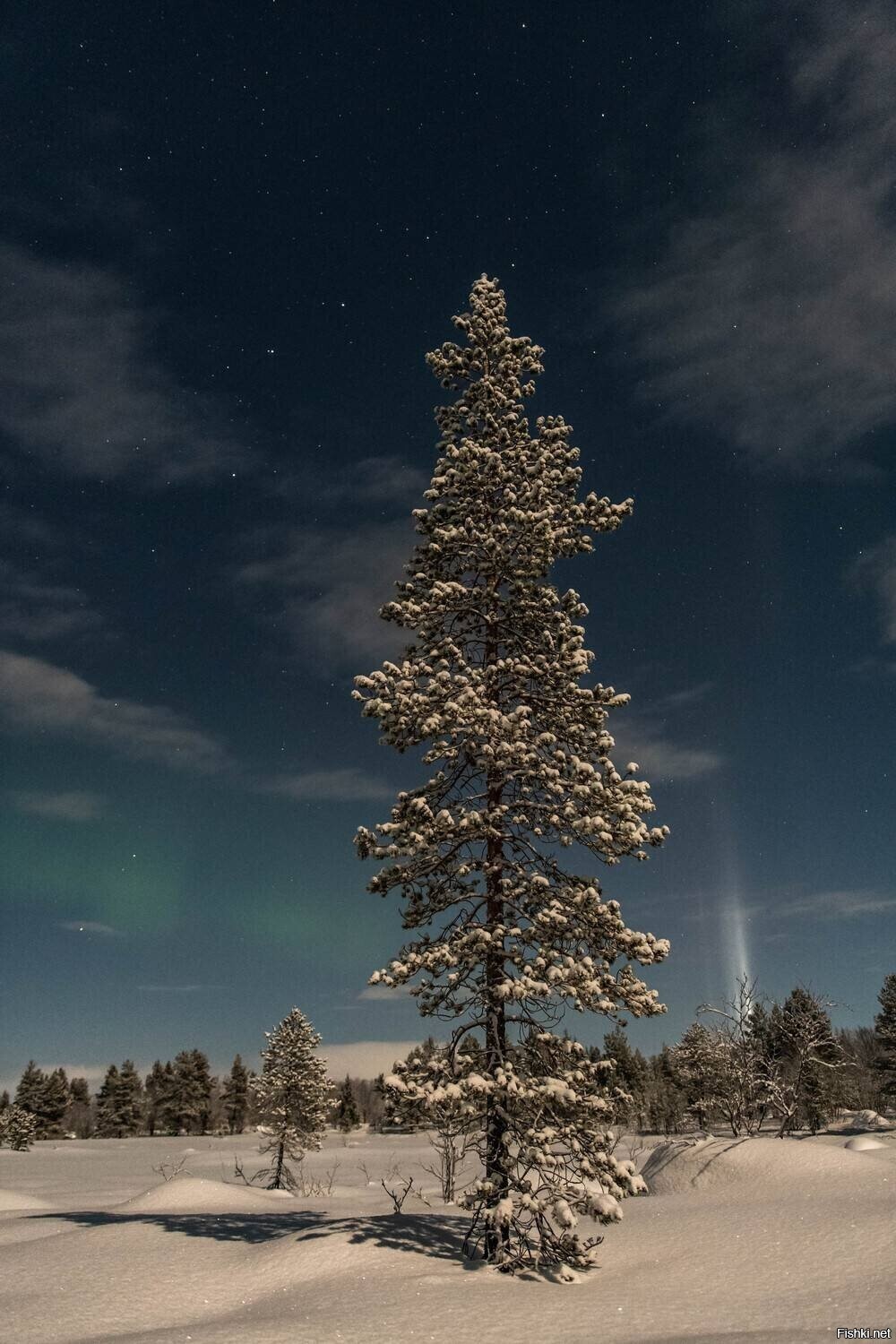 Солянка