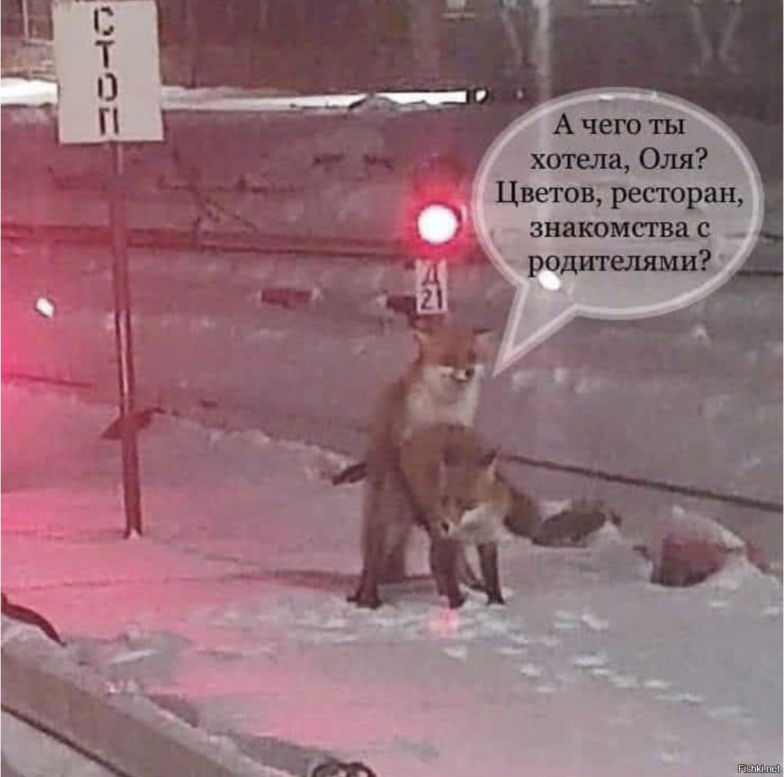Солянка