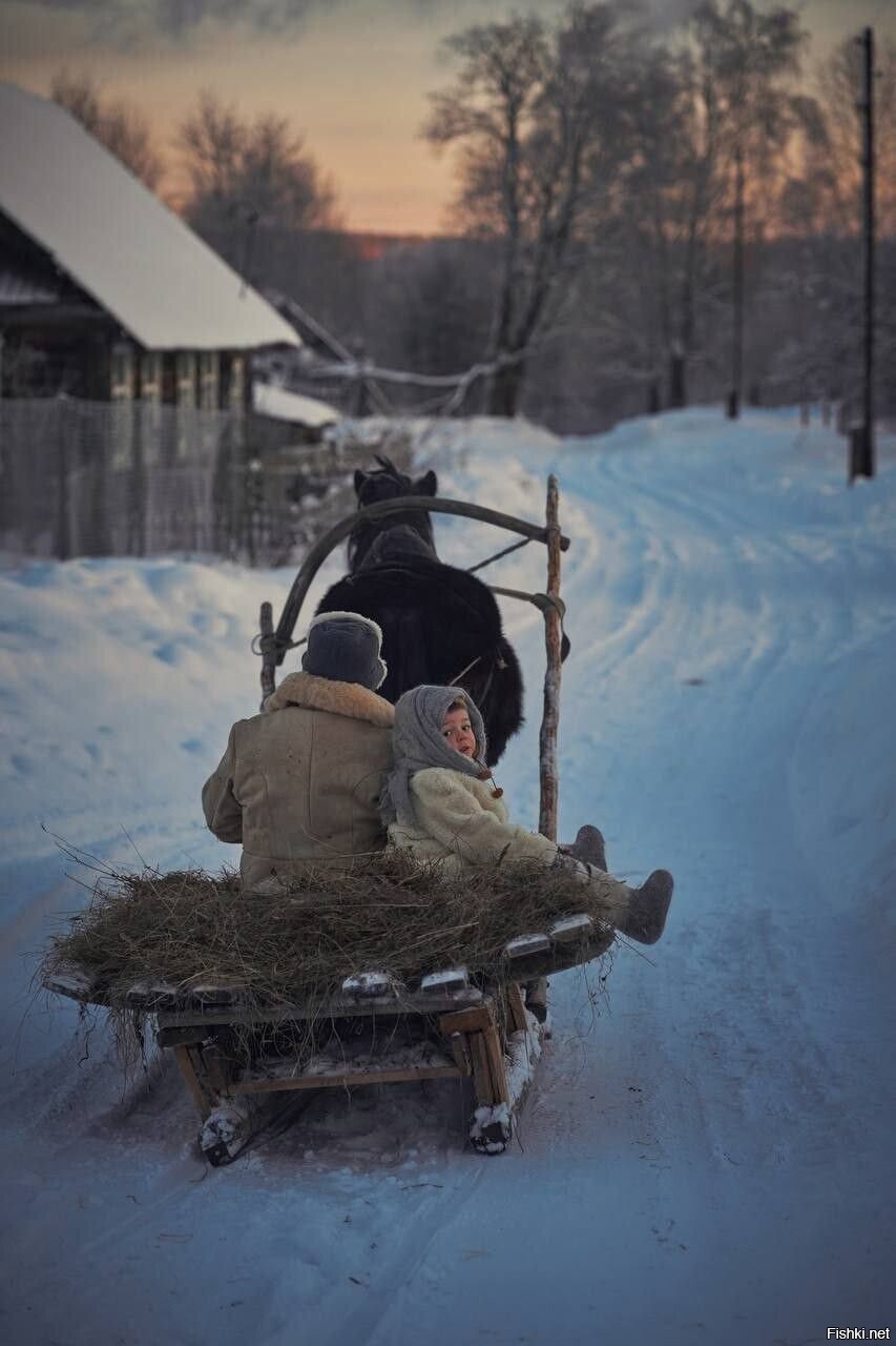 Солянка