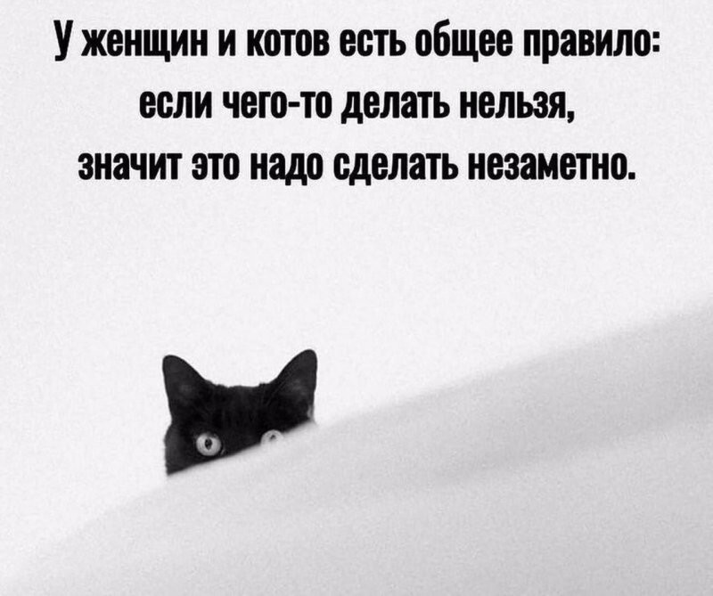 Большая миска улыбатора