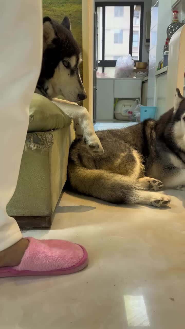 Воруют