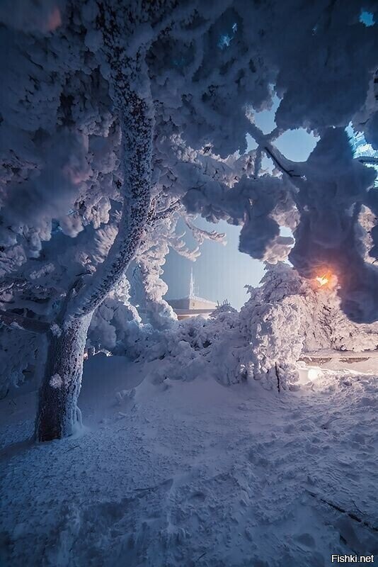 Солянка