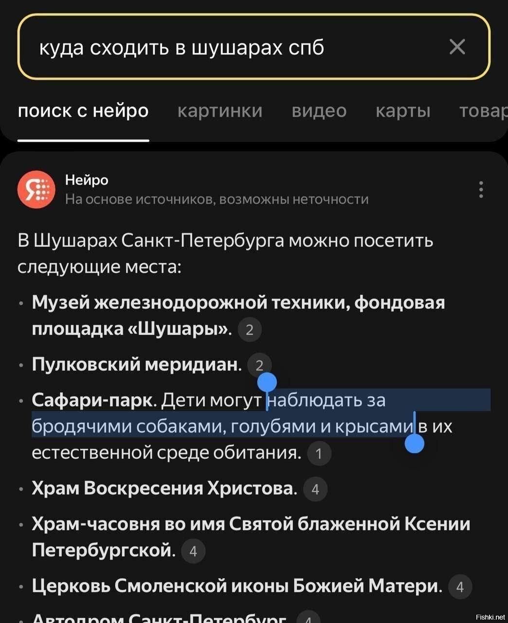 Интересно у вас там в Питере