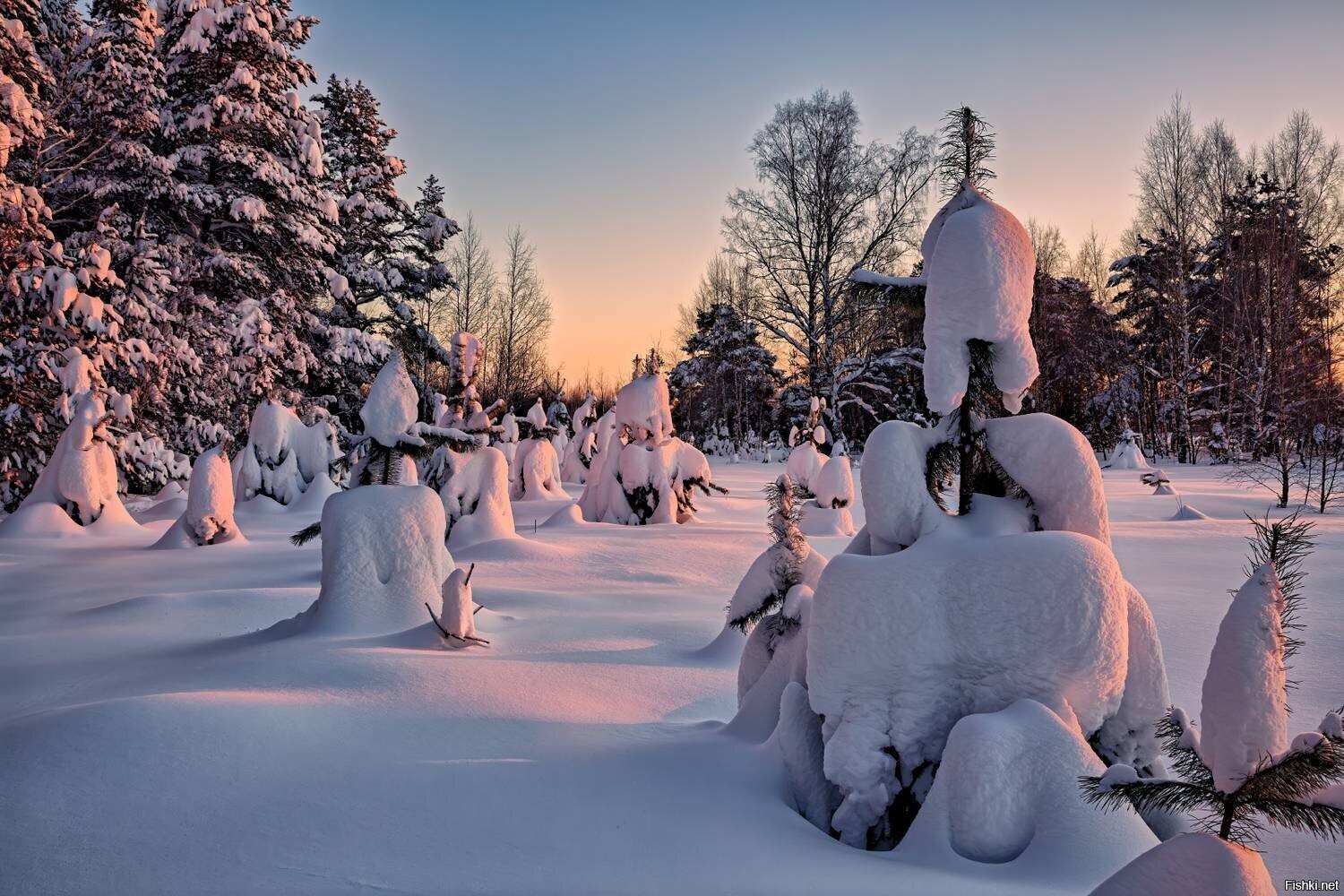 Солянка