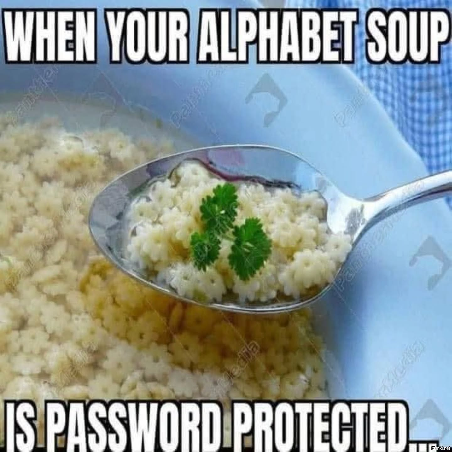 Солянка