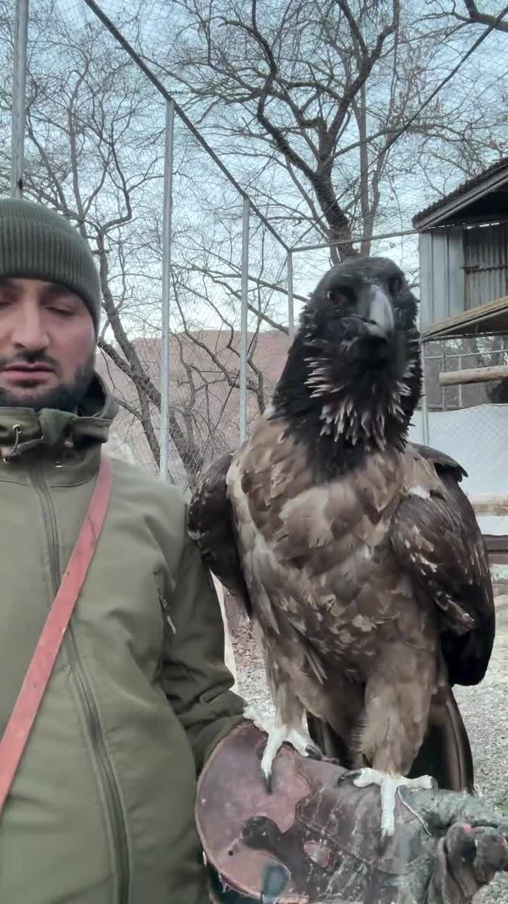 Ты не ты, когда голоден