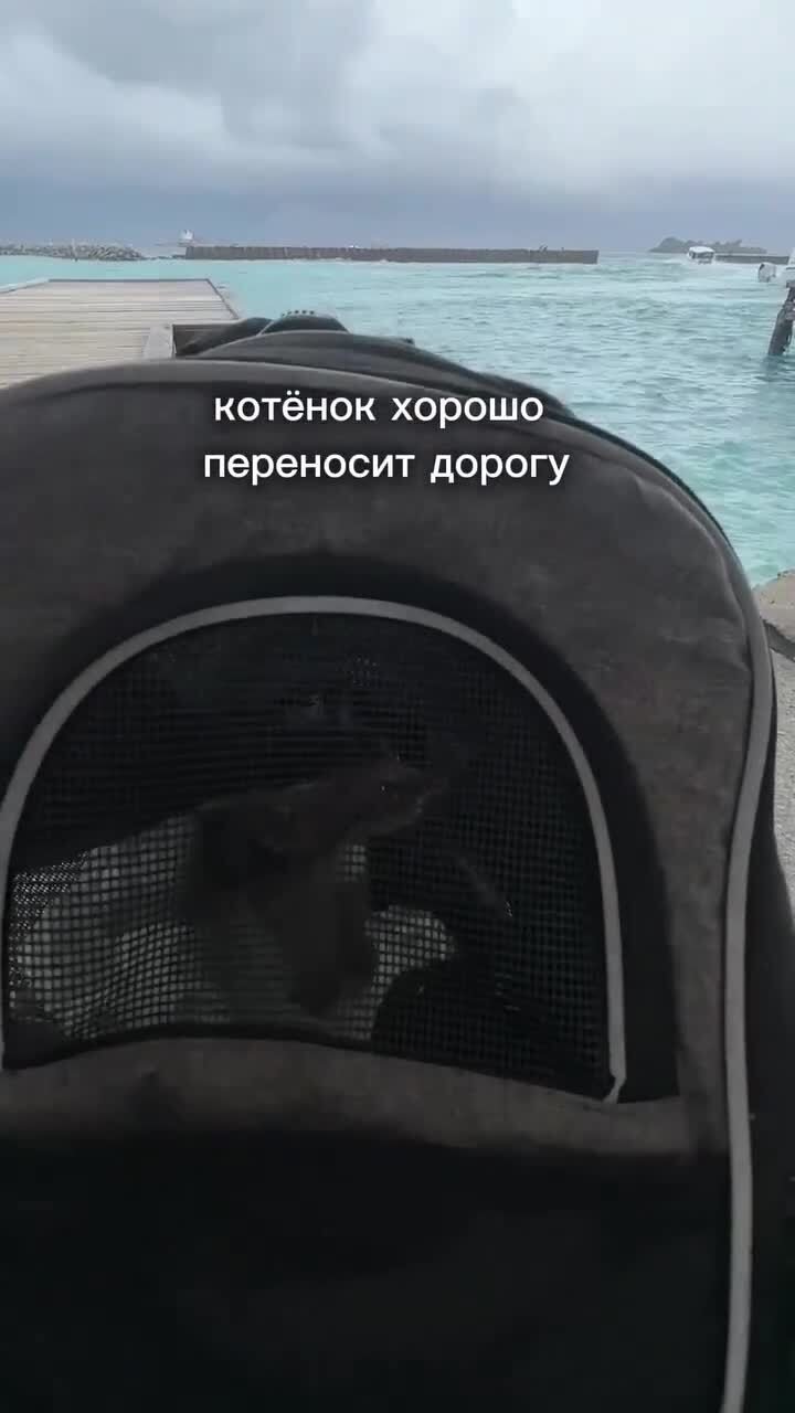 А жил бы в раю, а привезли в Москву