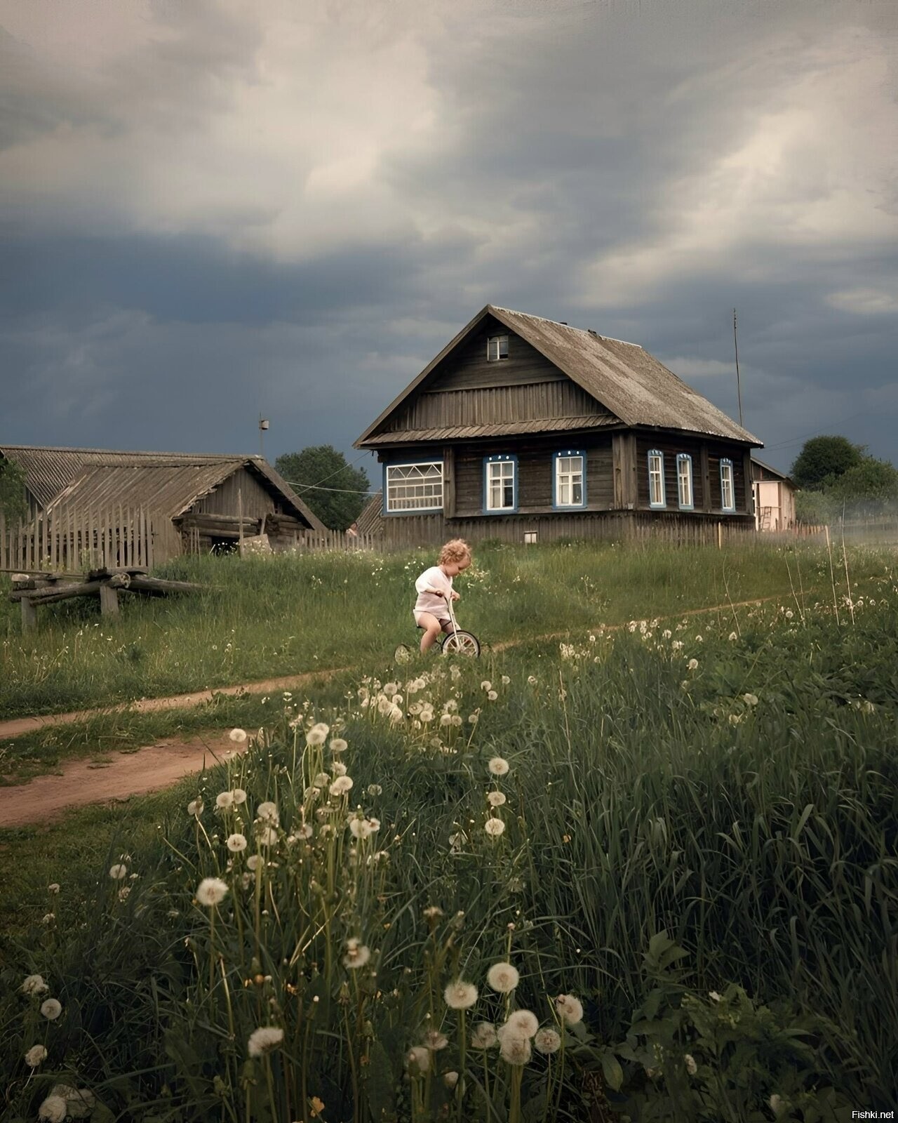 Солянка