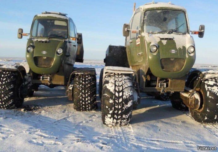 Солянка