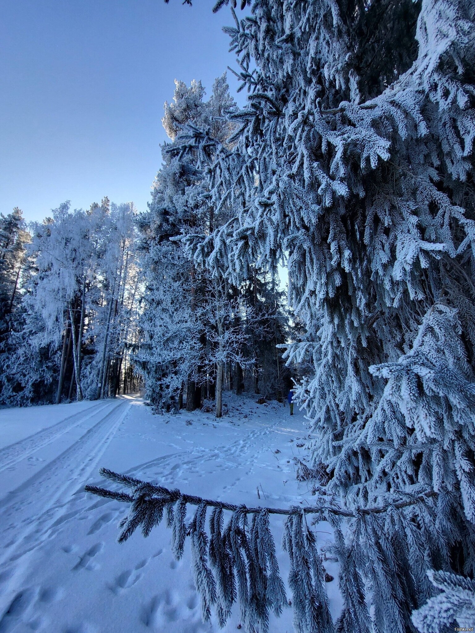 Солянка