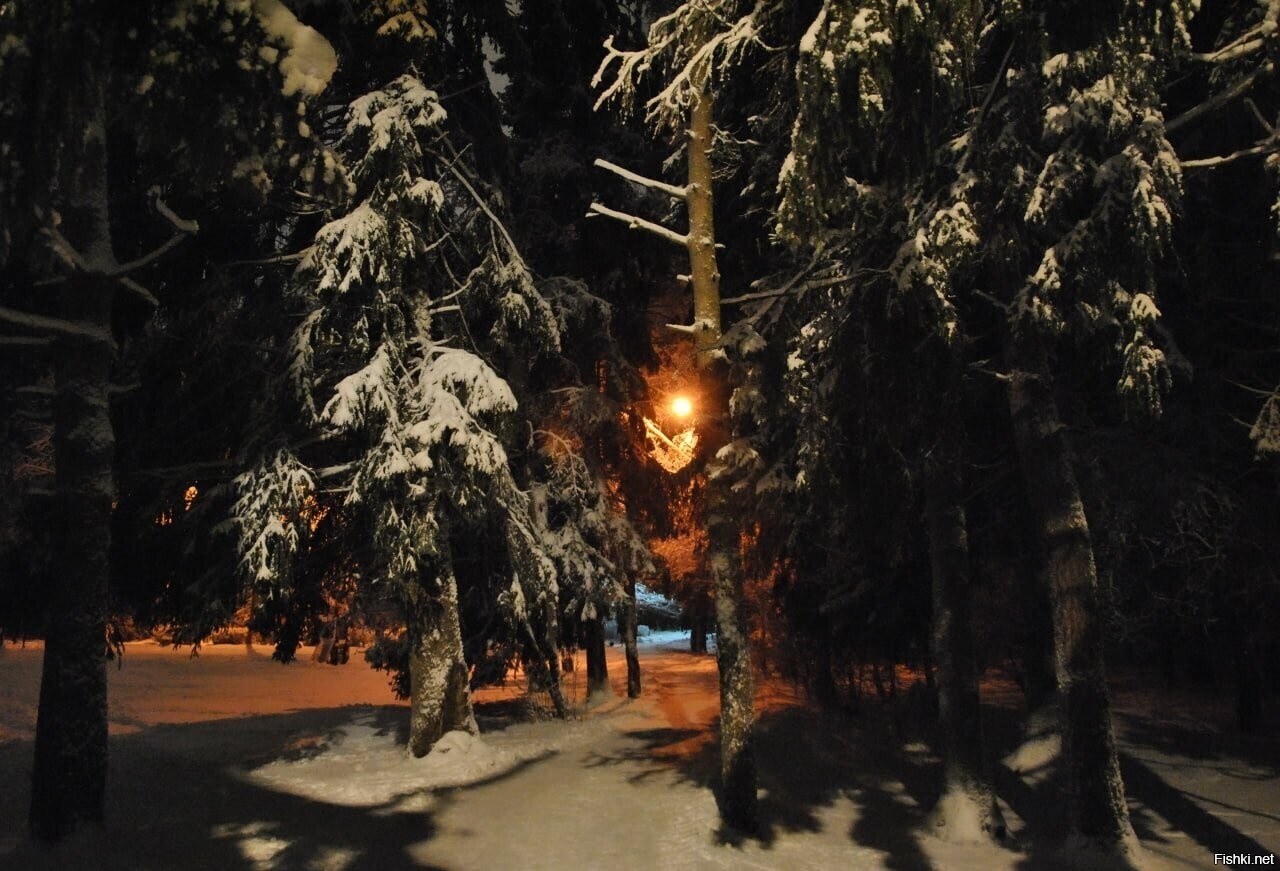 Солянка