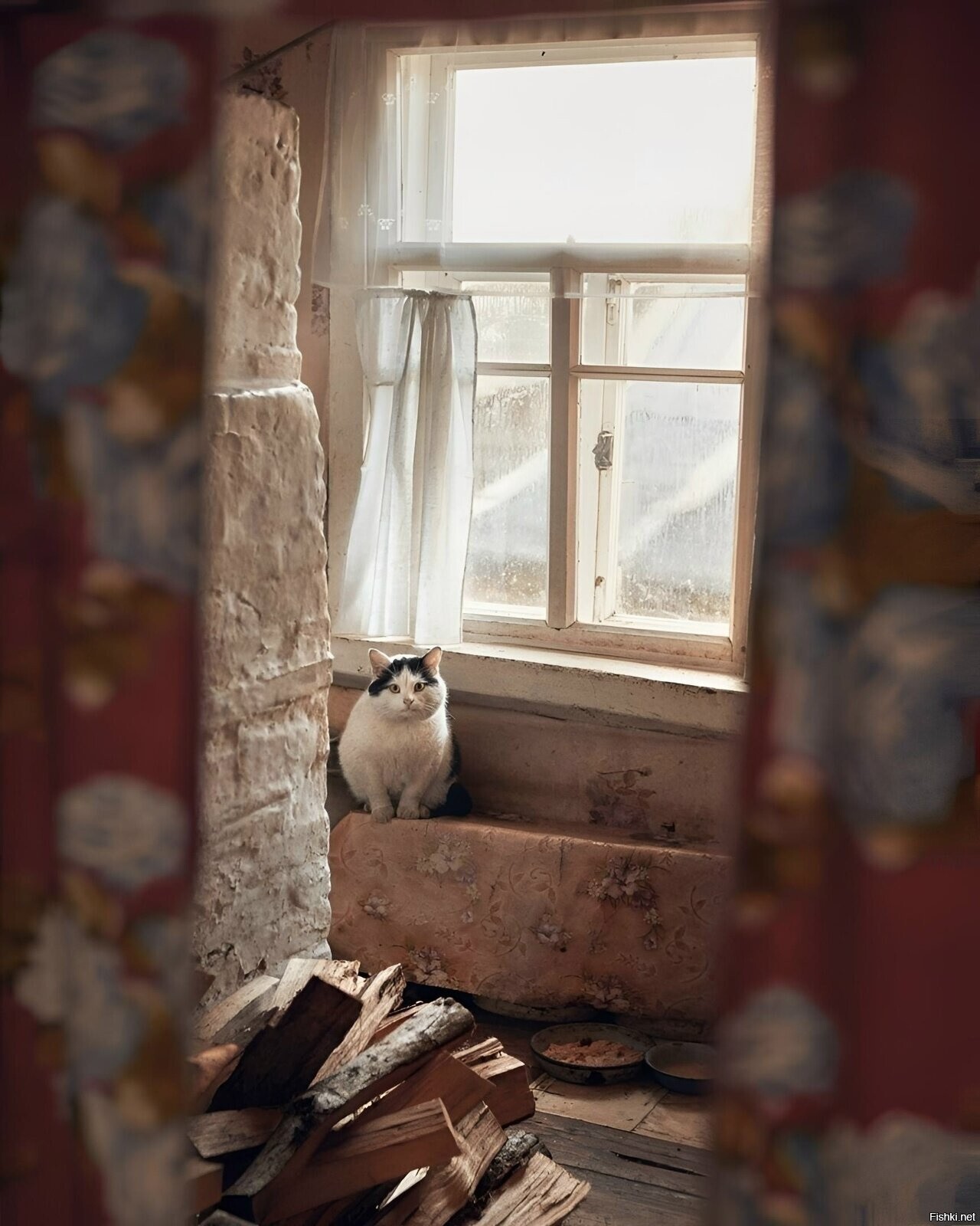 Солянка