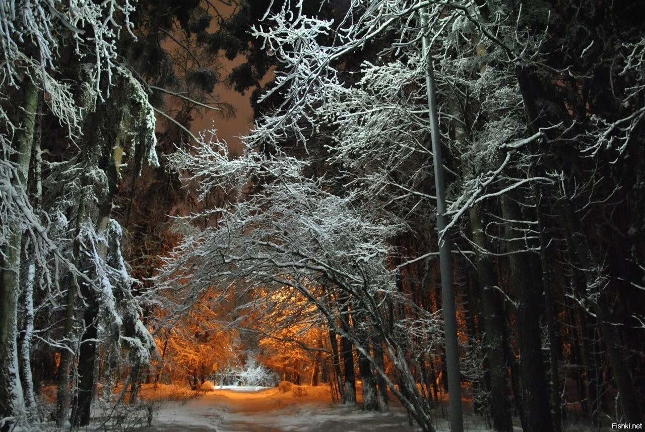 Солянка