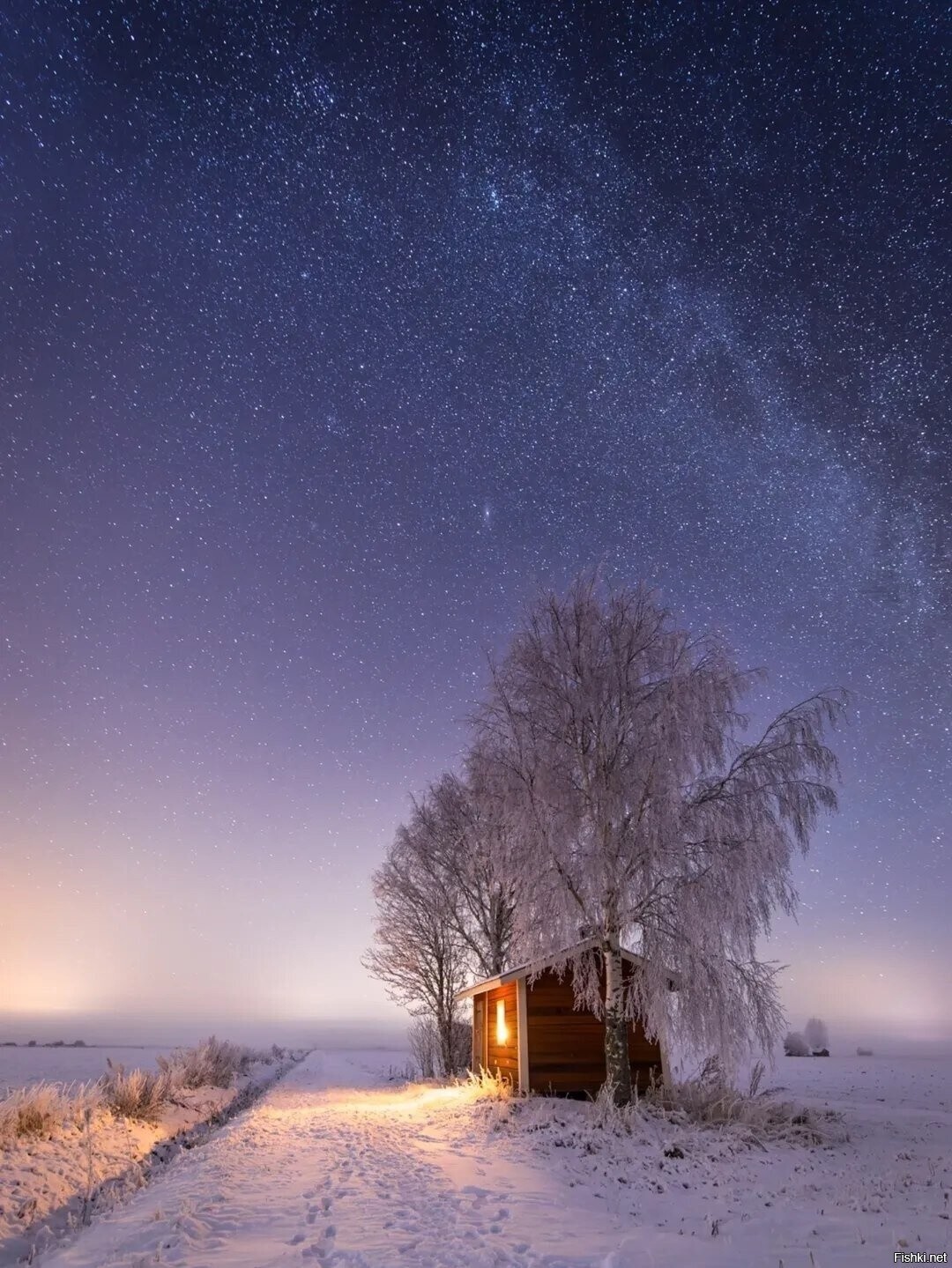 Солянка