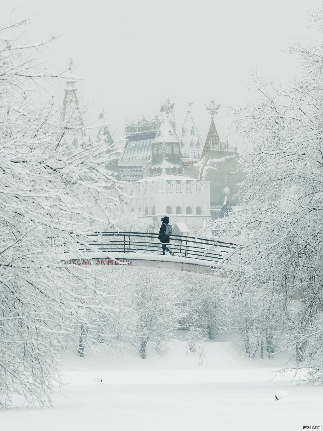 Солянка