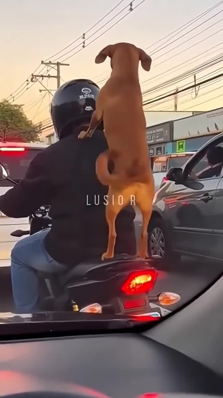 Холостой ход