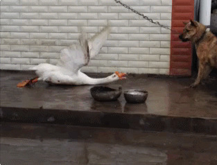 Фильм ужасов