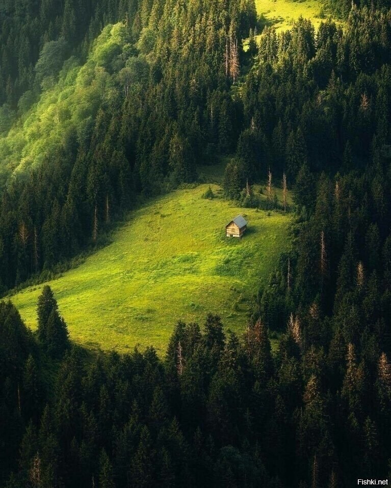 Солянка