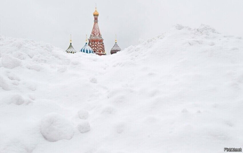 Солянка