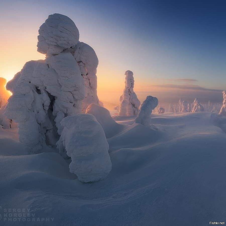 Солянка