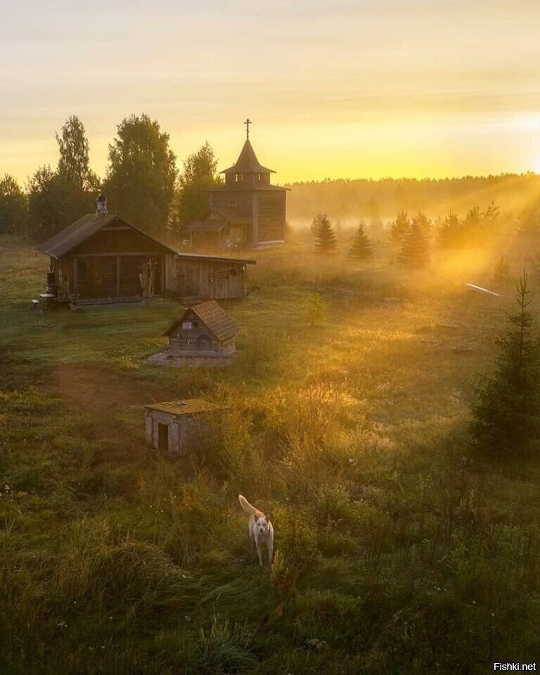 Солянка