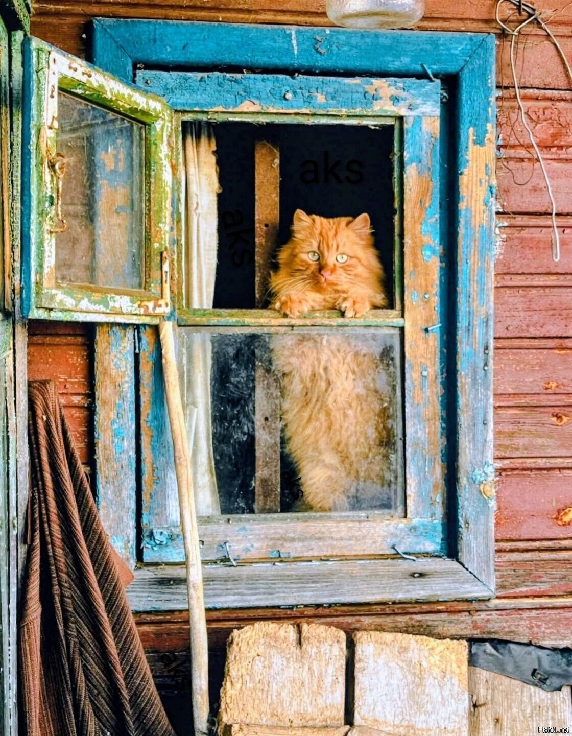 Солянка