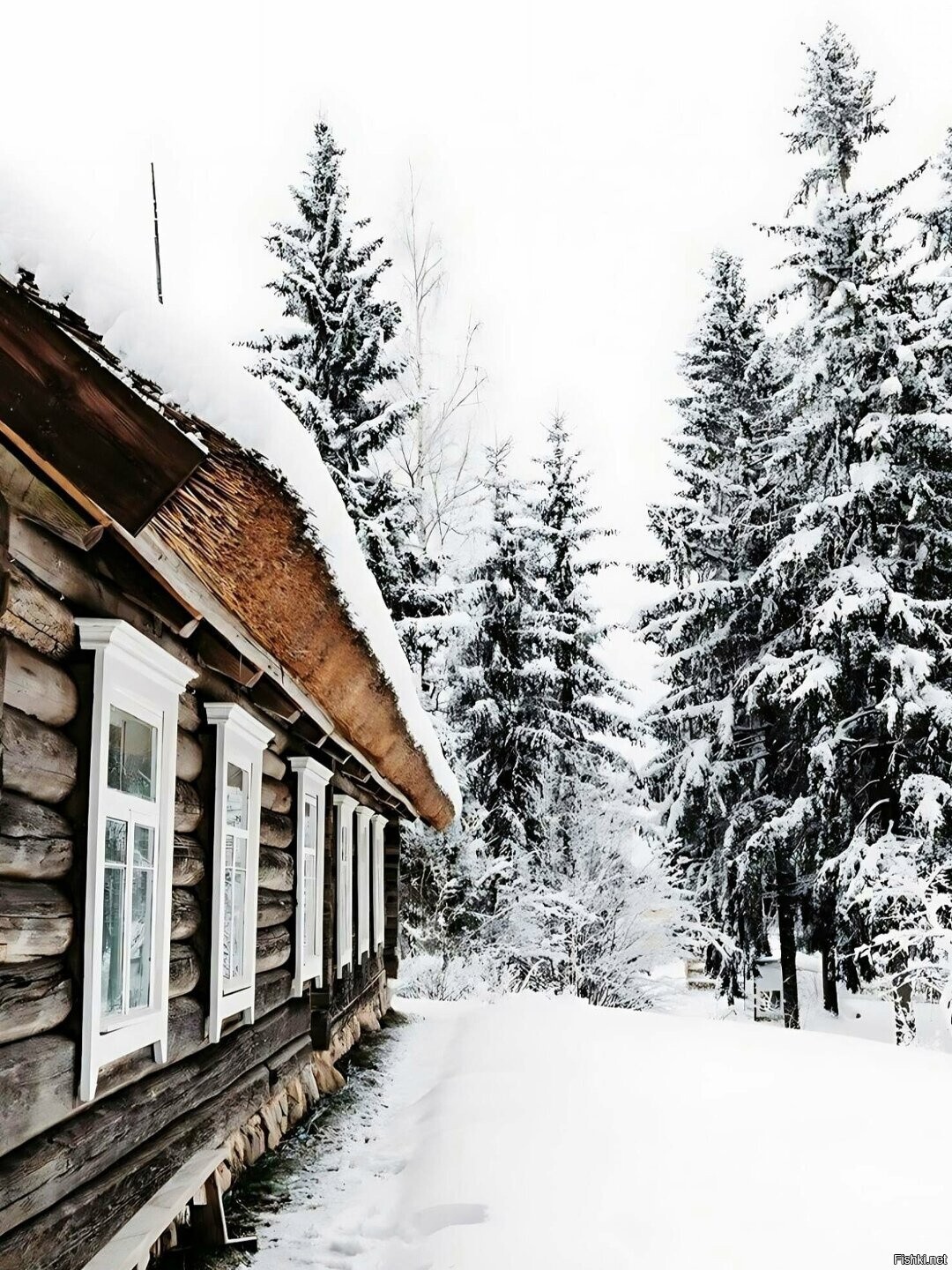 Солянка