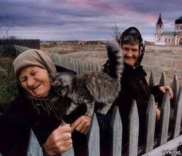 Солянка