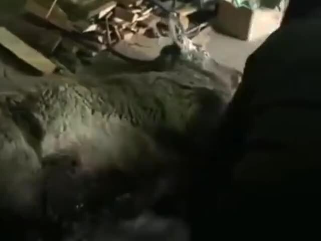 Солянка