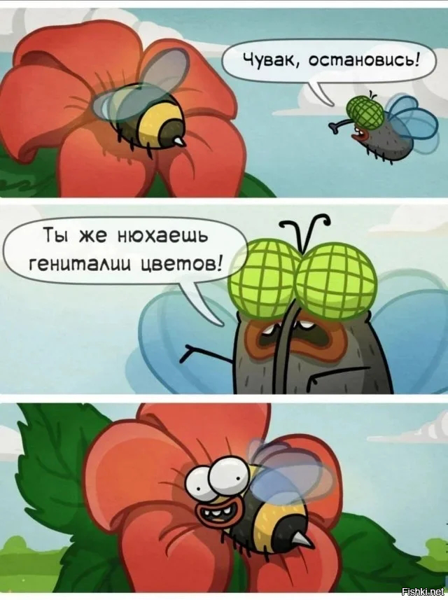 Солянка