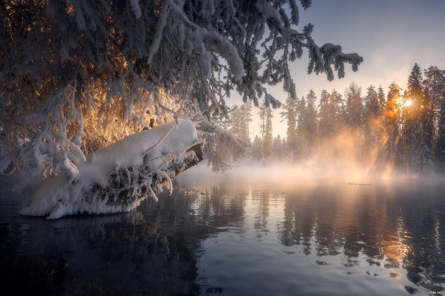 Солянка