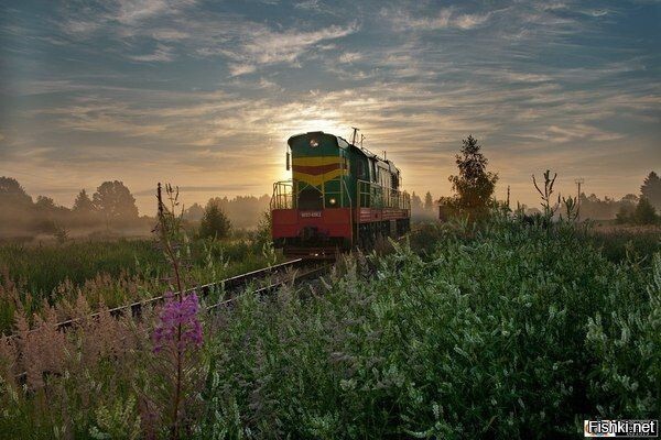 Солянка