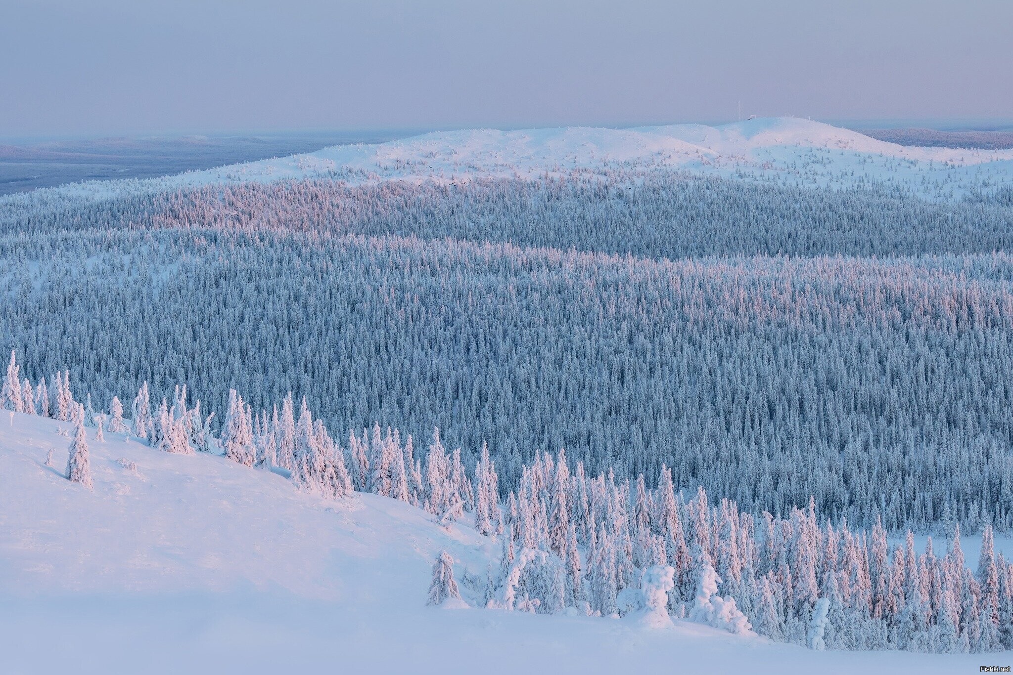 Солянка