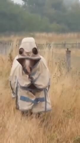 Спокойной ночи