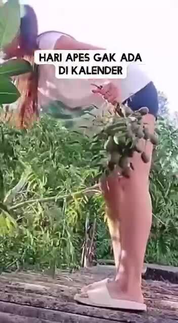 Перевес