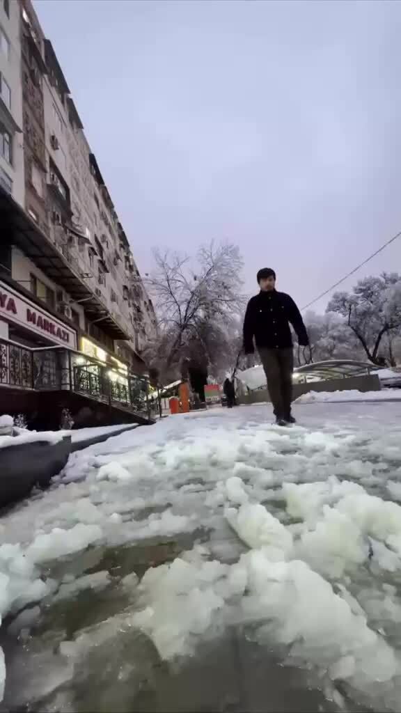 Солянка